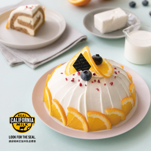 夏日乳霜圓舞曲｜自我投資長期學習首站